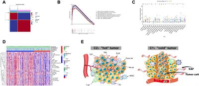 An integrated bioinformatic analysis of bulk and single-cell sequencing clarifies immune microenvironment and metabolic profiles of lung adenocarcinoma to predict immunotherapy efficacy